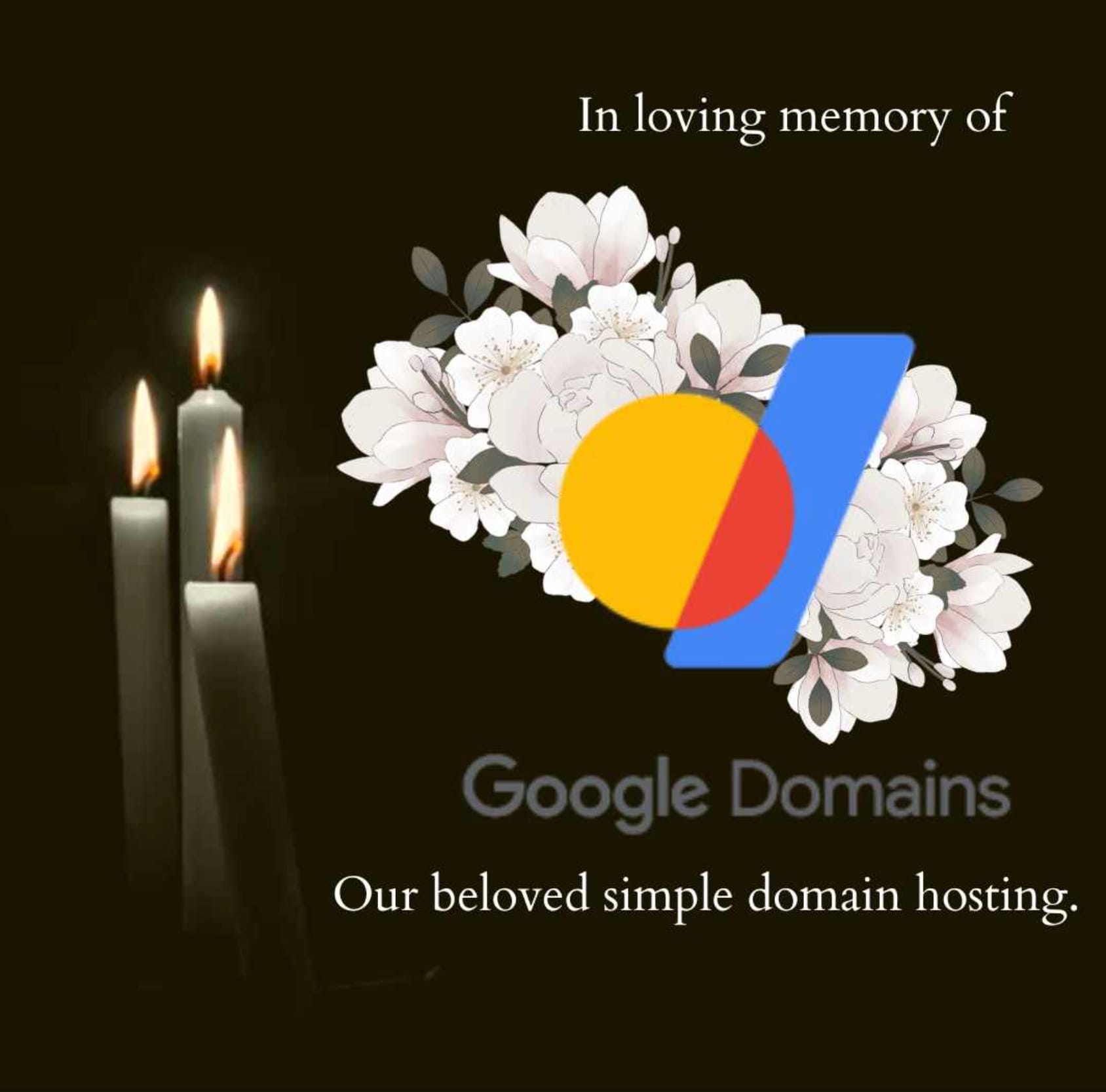 In loving memory of Google Domains, our beloved simple domain hosting.