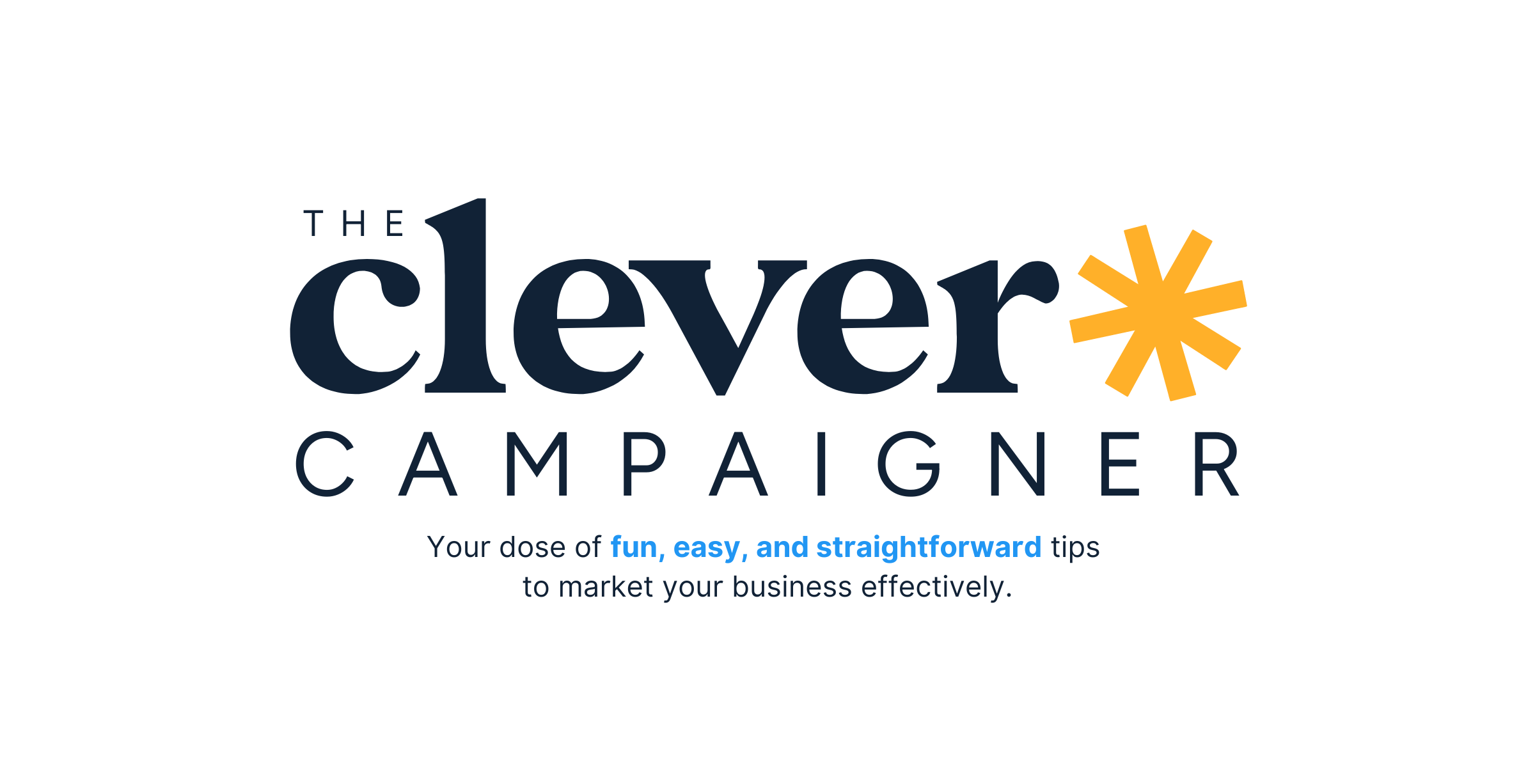 the clever campaigner your dose of straightforward tips to market your business effectively