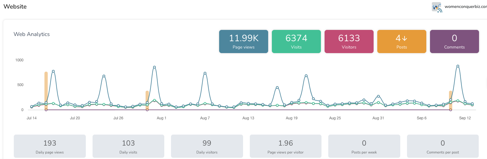 Metricool's website analytics.